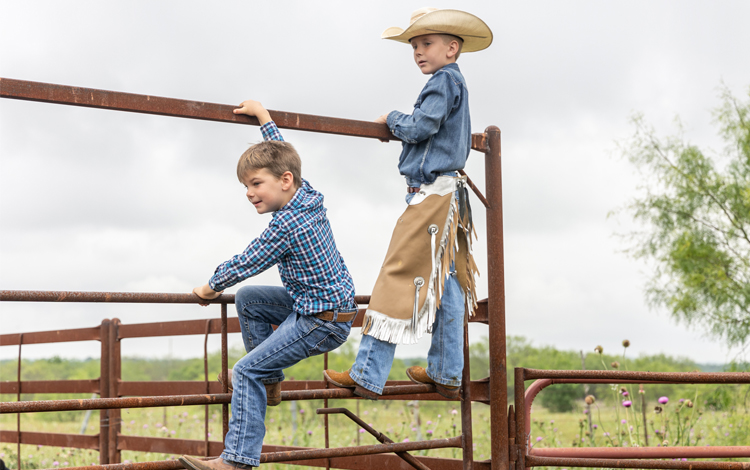 Two young boys stand on fence 